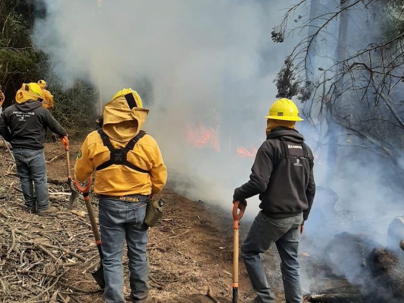 Controlado el incendio en Donato Guerra