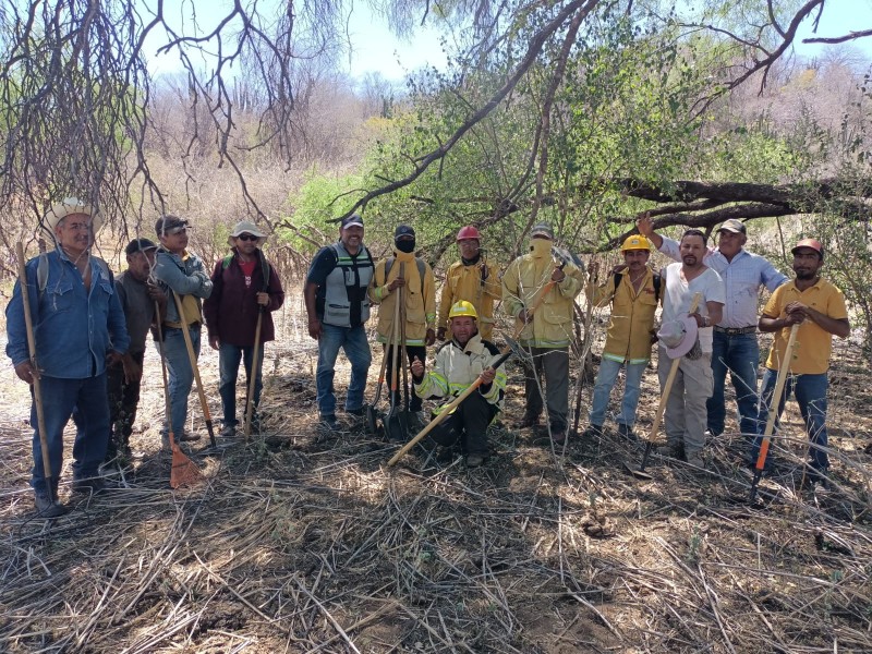 Controlado en un 100% el incendio forestal en Quiriego