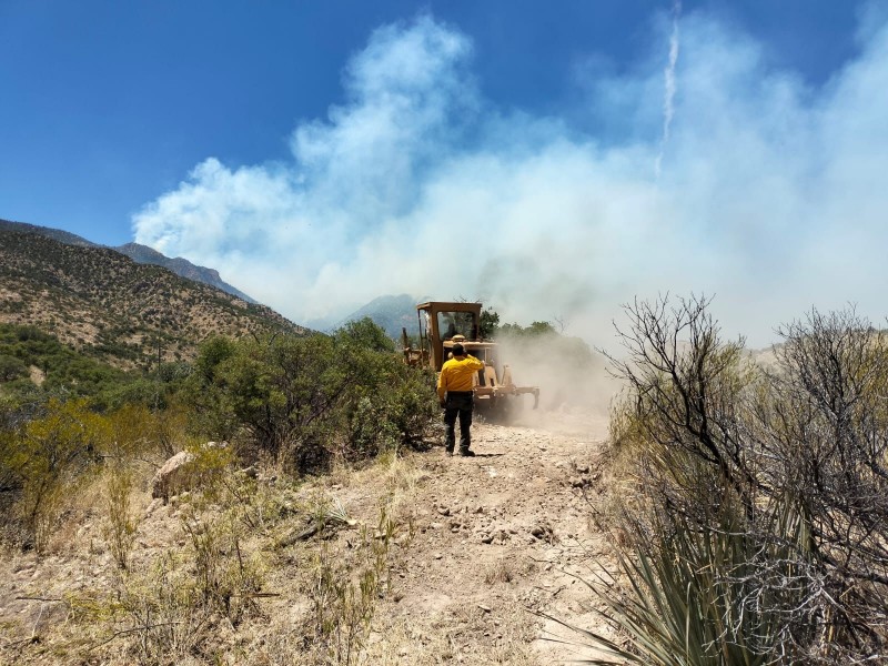 Controlado en un 50 por ciento incendio forestal de Ímuris