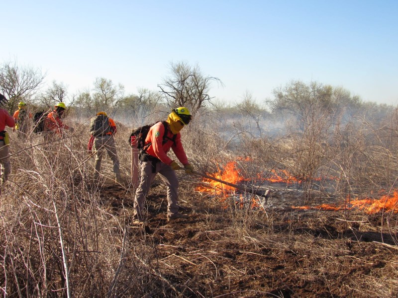 Controlado incendio forestal en Quiriego, Sonora