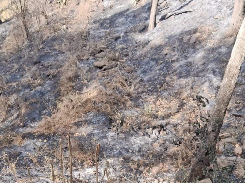 Controlado incendio forestal en zona cerril de Jiquilpan