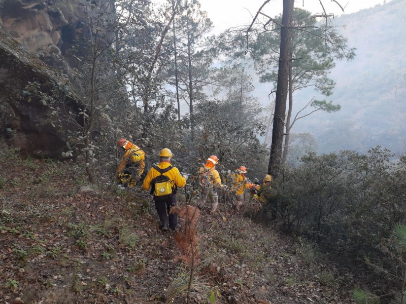 Controlado totalmente incendio forestal en Perote: PC