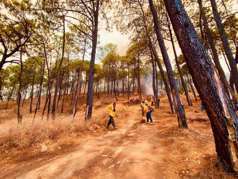 Tras 20 horas, controlan incendio en Cerro de la Cruz