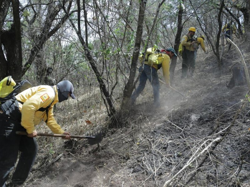 Controlados, incendios forestales en Tuxpan