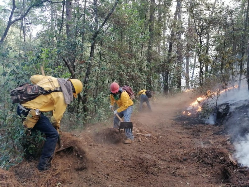 Controlados, los incendios en Áporo-Senguio y Los Reyes-Tangancícuaro