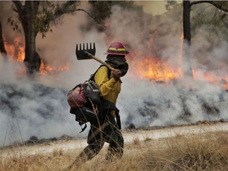 Controlan 2 frentes de incendio en La Primavera