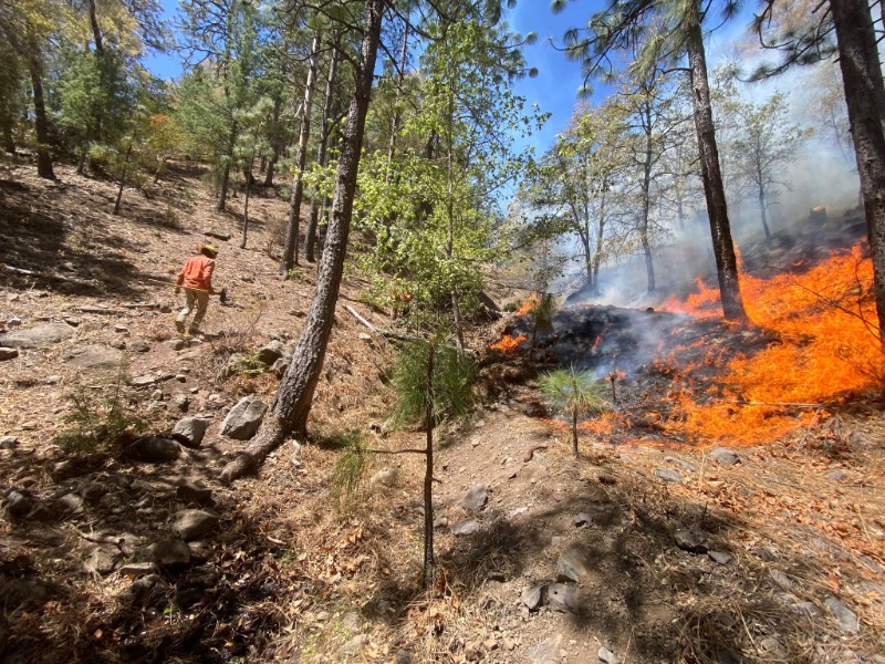 Controlan 50% del incendio de Nácori, Chico