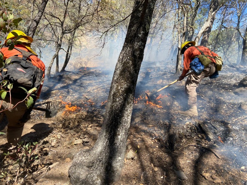 Controlan 80% de incendio forestal en Nácori Chico