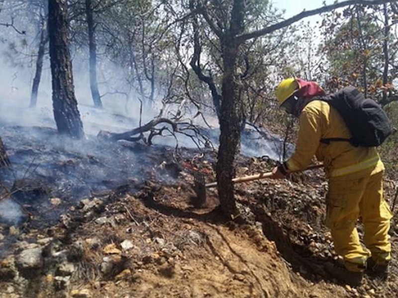 Controlan al 100% incendio en Sierra de Santa Rosa