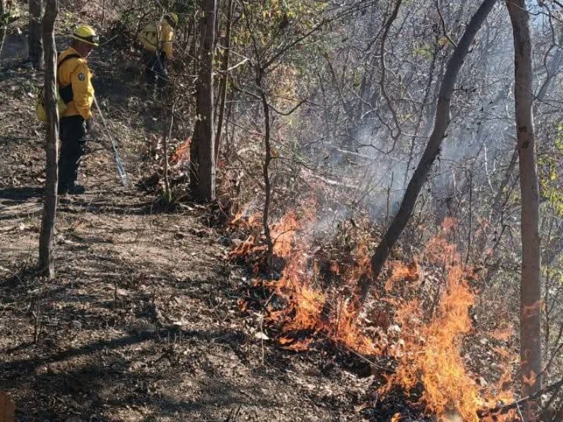 Controlan al 75% incendio forestal en Canoas, Manzanillo