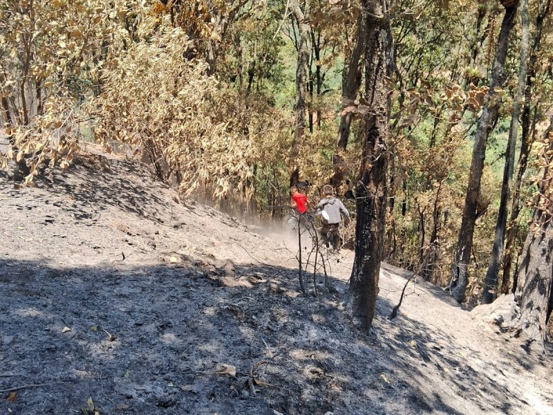 Controlan el incendio en Coyomeapan a un 80%