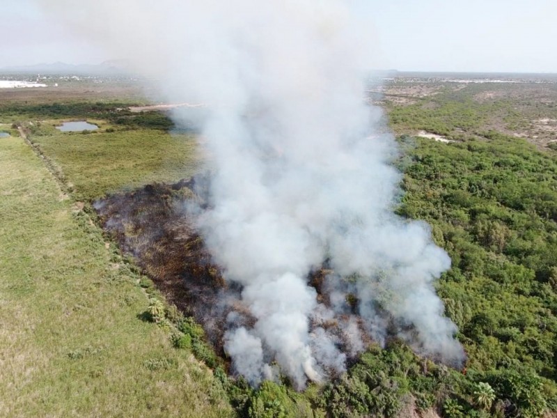 Controlan fuerte incendio de maleza en Empalme