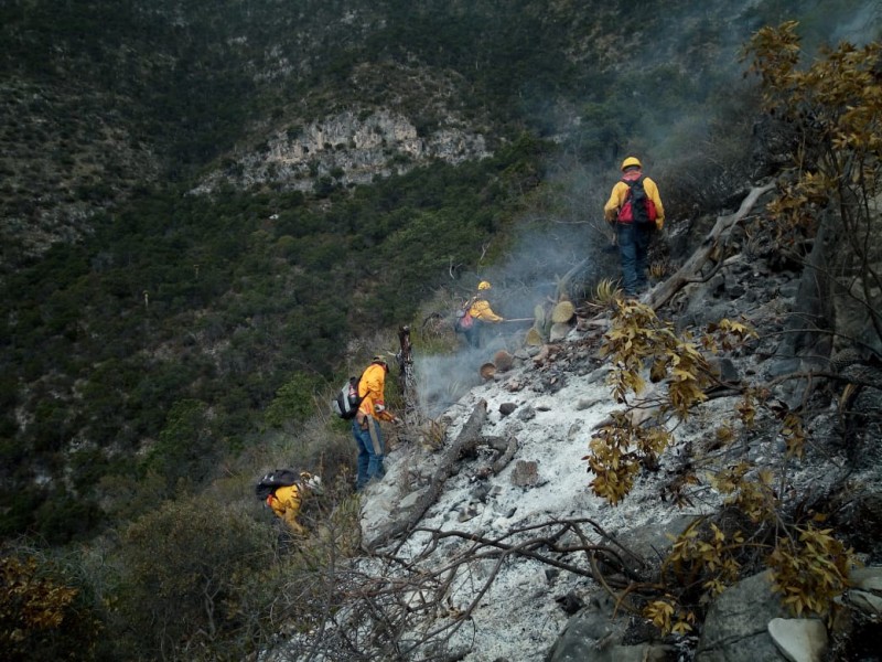 Controlan incendio de Arteaga en 80 %