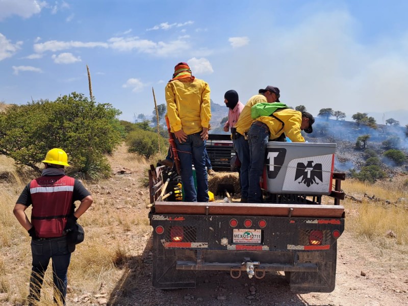 Controlan incendio del Cerro El Pino