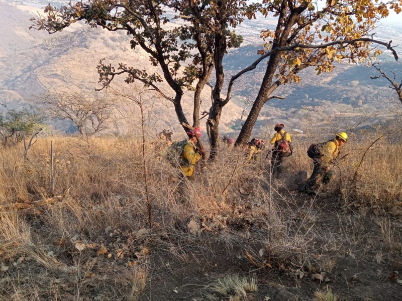 Controlan incendio en el Bosque de la Primavera