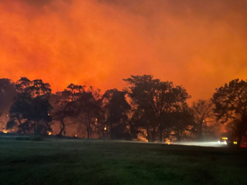 Controlan incendio en el Bosque de la Primavera