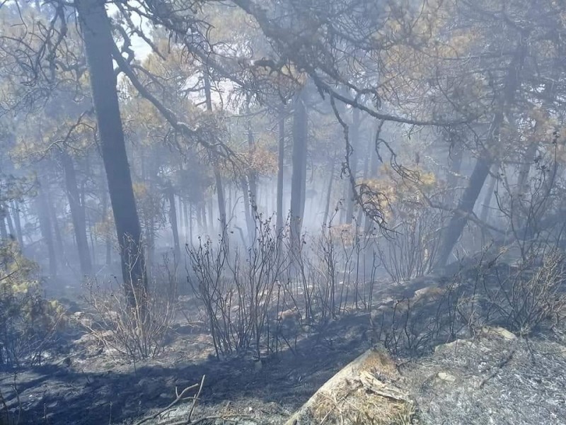 Controlan incendio en el Cerro de Jocotitlán