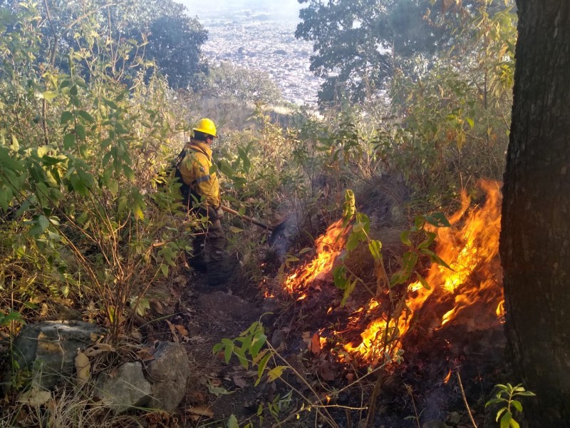 Controlan incendio en El Colli de Zapopan