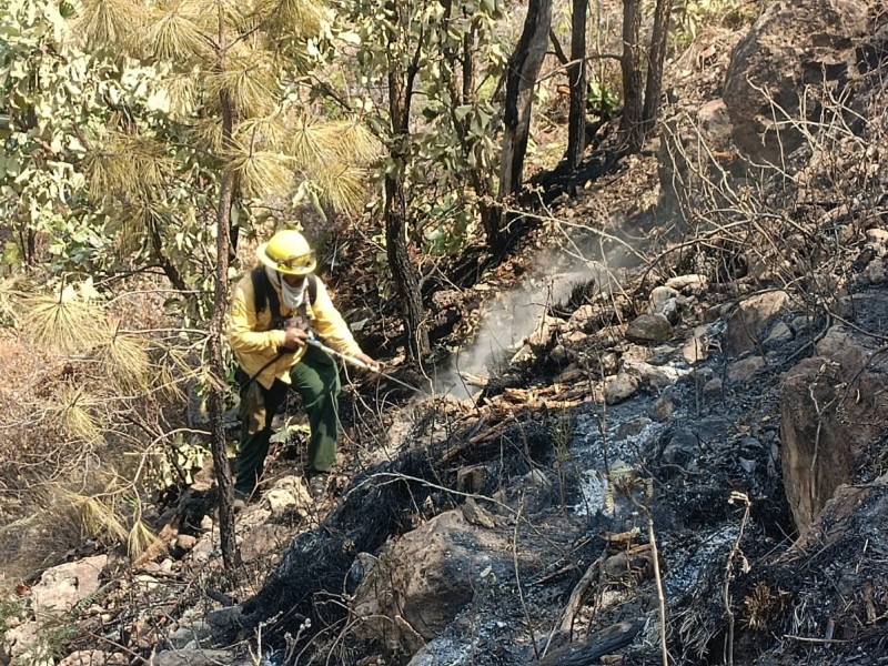 Controlan incendio en La Primavera