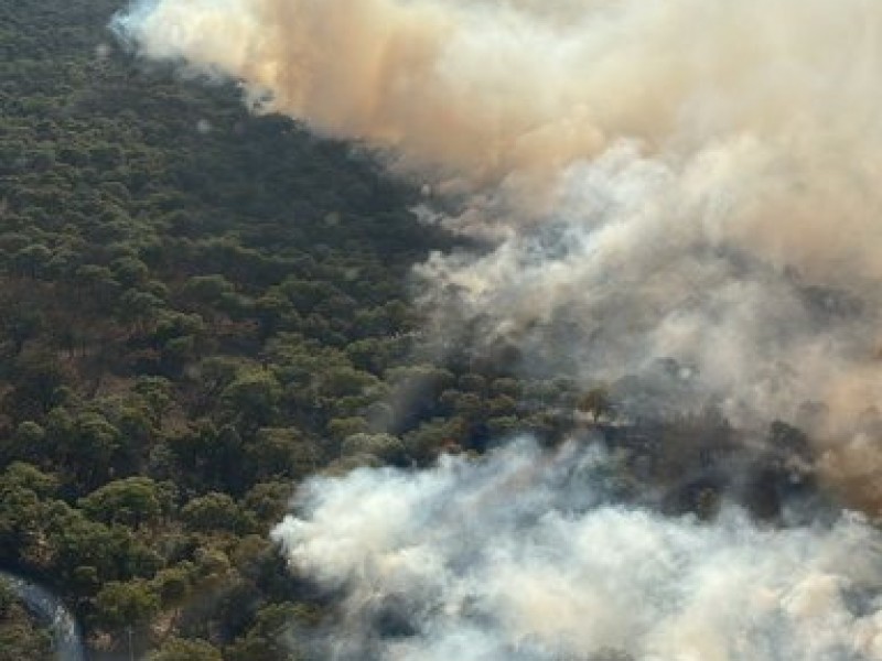 Controlan incendio en La Primavera