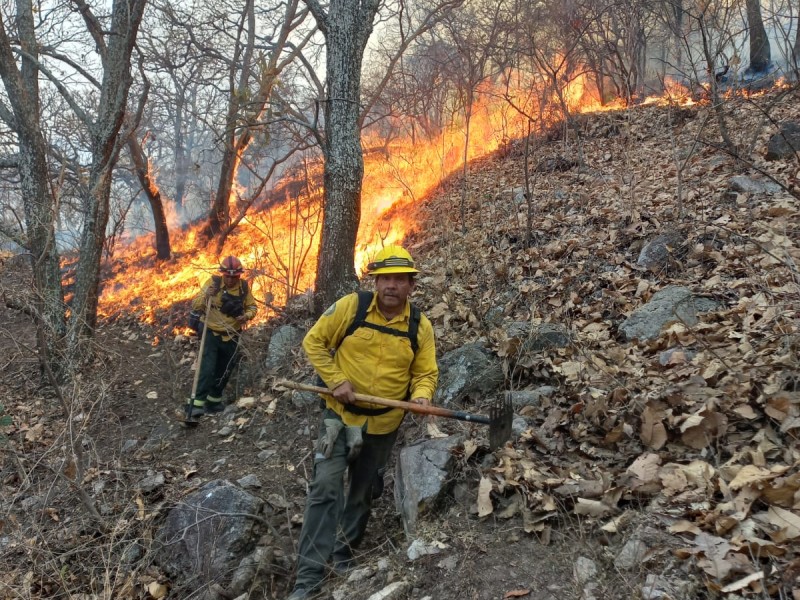 Controlan incendio en La Primavera