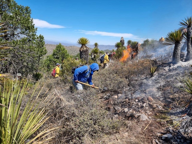 Controlan Incendio en Sierra de Concepción Del Oro