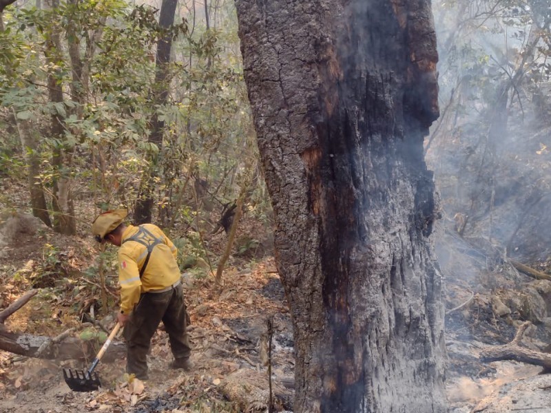 Controlan incendio en zona sureste de Jalisco.