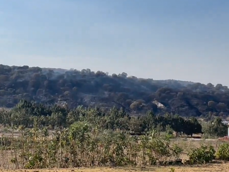 Controlan incendio forestal en el paraje El Potrero