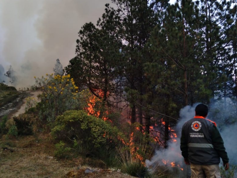 Controlan incendio forestal en Calcahualco