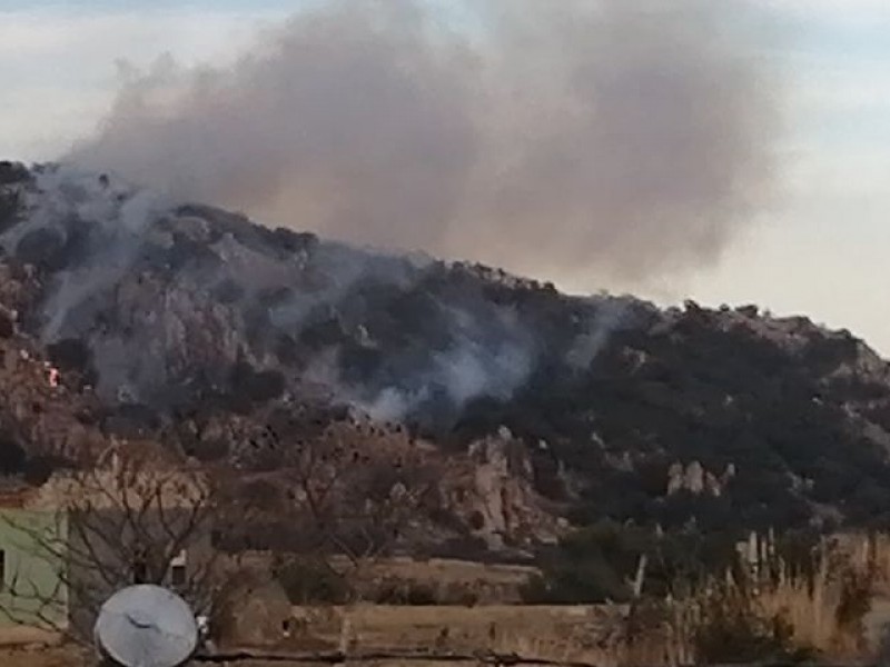 Controlan incendio forestal en cerro de El Diente, en Zapopan
