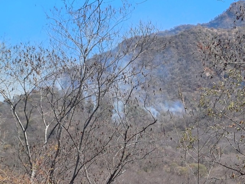 Controlan incendio forestal en la sierra de Imala,Culiacán