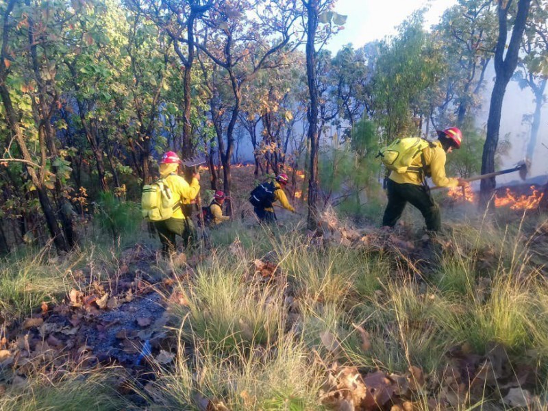 Liquidan incendios en El Colli y San Esteban