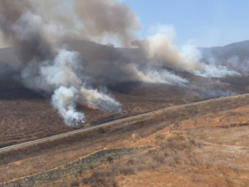 Controlan incendios en Zapopan y Tlajomulco