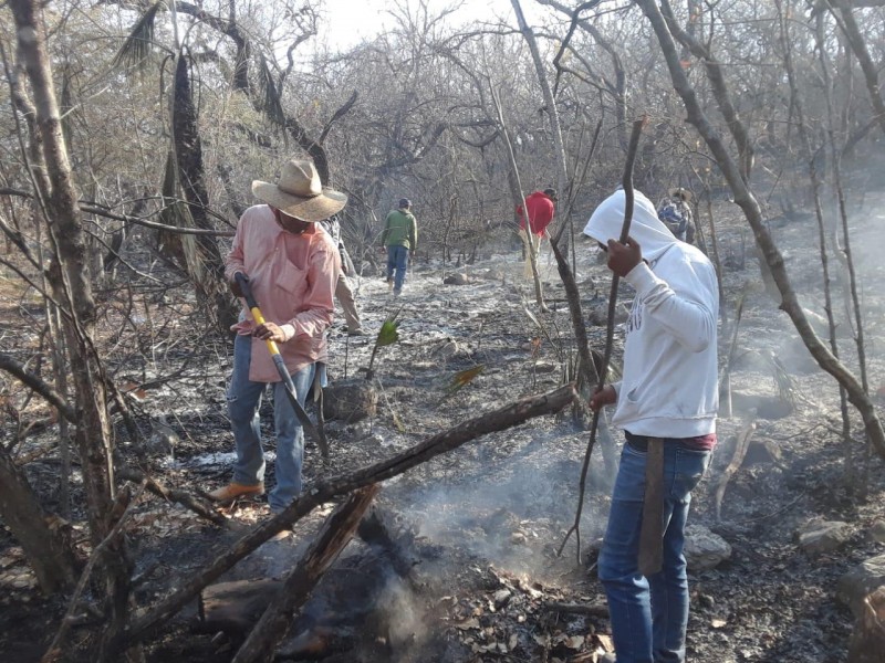 Controlan incendios forestales al norte del estado