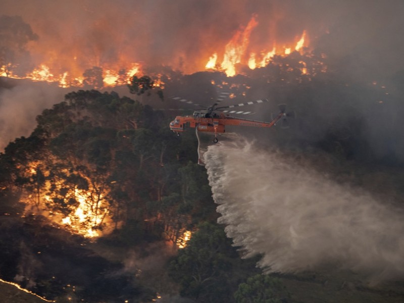 Controlan incendios forestales en Australia