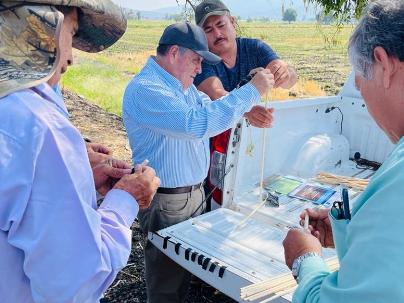 Controlan plagas en los cultivos zamoranos