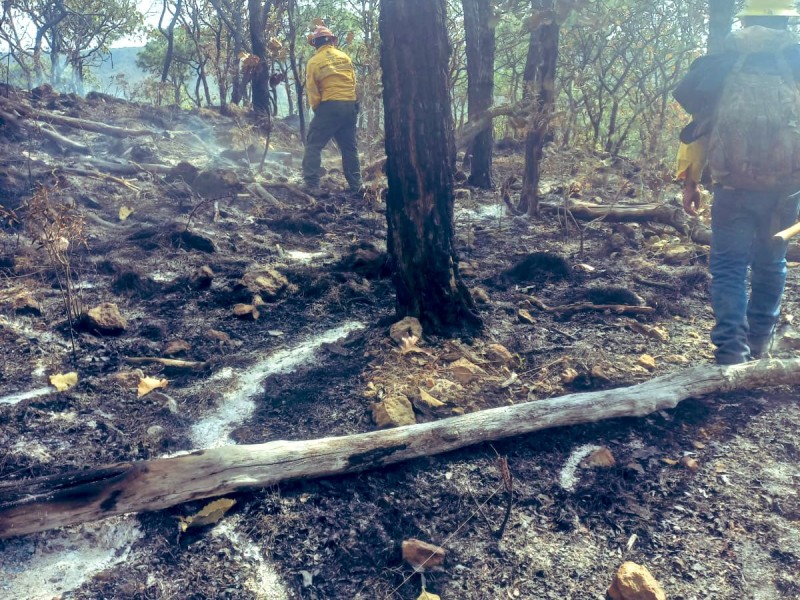 Controlaron incendio forestal en el predio El 18