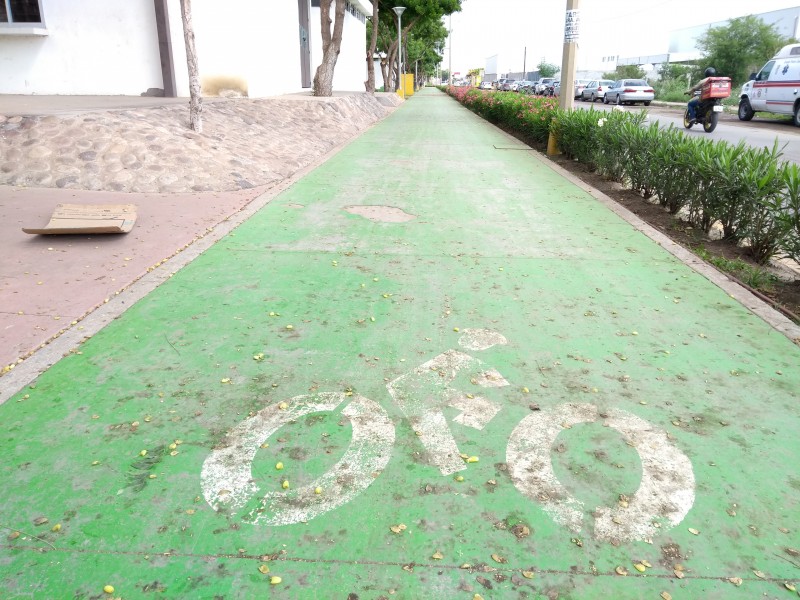 Convertirán en ciclopista a Mazatlán