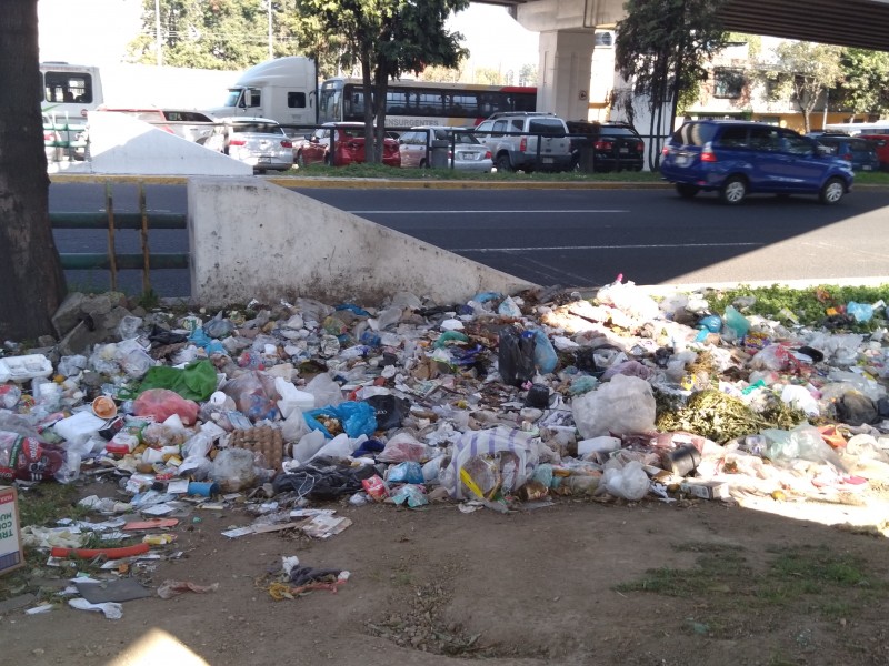 Convierten bajo puentes de Tollocan en tiraderos de basura