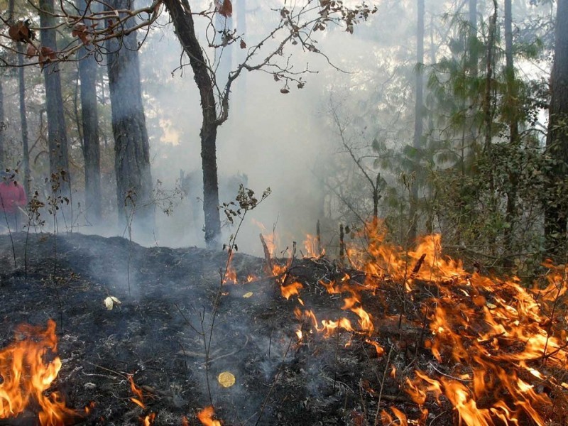 Convivencias familiares en campo terminan en incendios forestales
