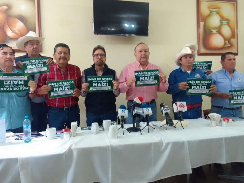 Convocan productores a manifestarse ante AMLO por precios de granos
