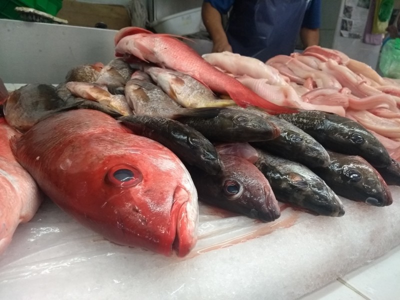 Cooperativas pesqueras con serias dificultades para comercializar sus productos