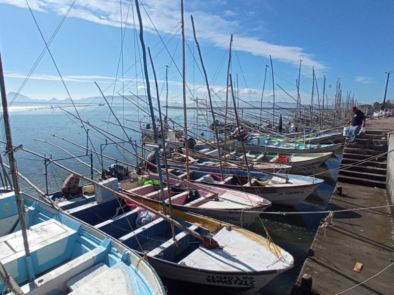 Cooperativas pesqueras en Topolobampo sin afectaciones por bajas temperaturas