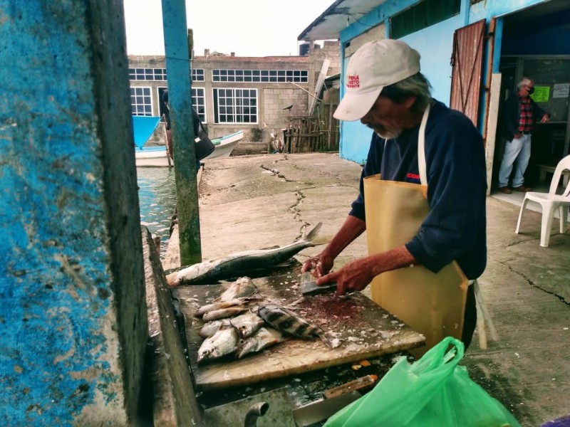 Cooperativas pesqueras reportan bajas ventas pese a Cuaresma