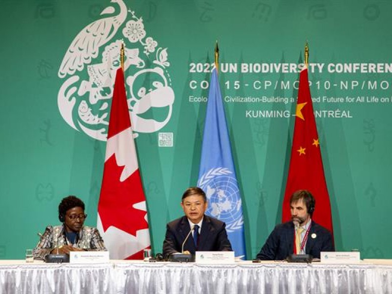 COP15 vota acuerdo global de biodiversidad