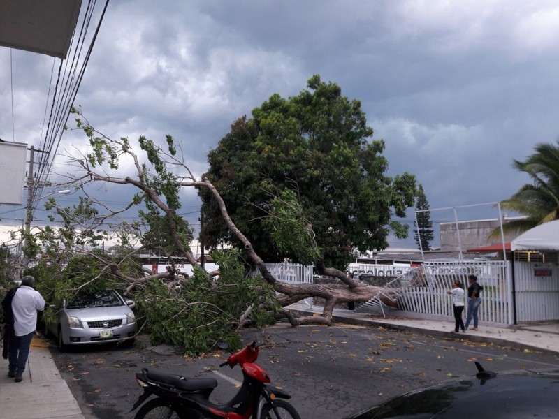 Coquimatlán el más afectado por tormenta