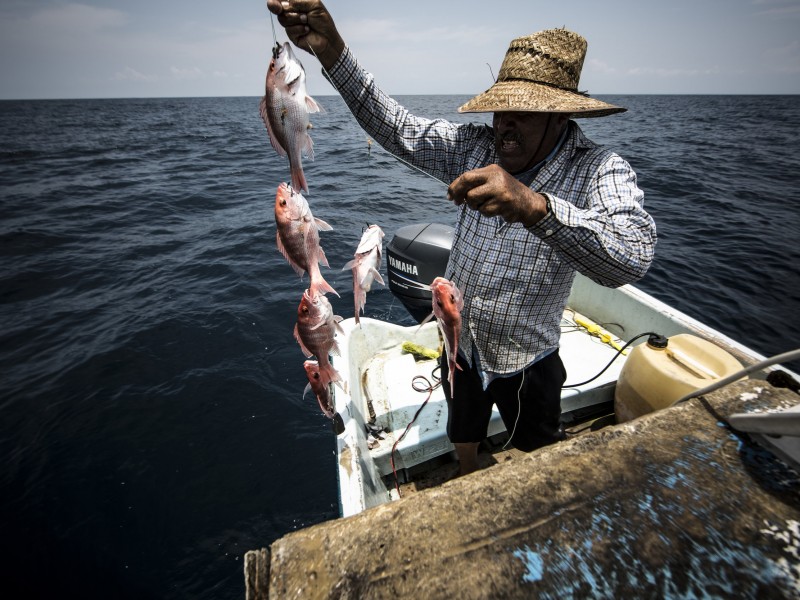 Corriente de agua fría, está ahuyentando la pesca