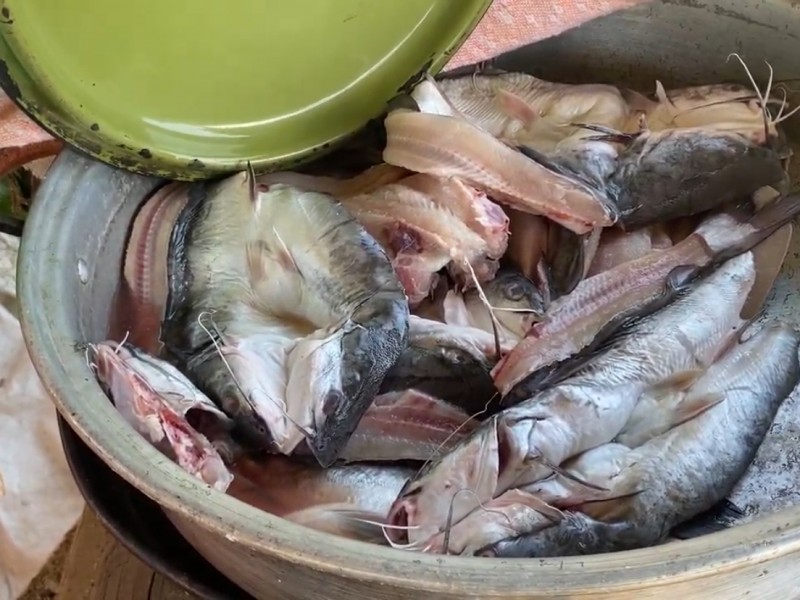 Corrientes marinas ahuyenta a peces en Zihuatanejo provocando encarecimiento