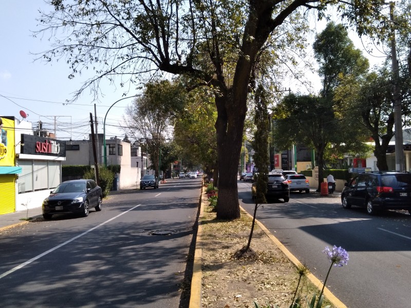 Corrupción permite operación de bares en carranza:Chavarria