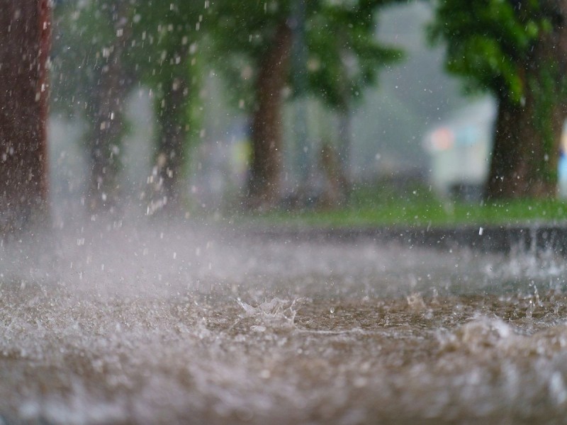 “Cosecha de agua” proyecto visionario para Zonas Áridas